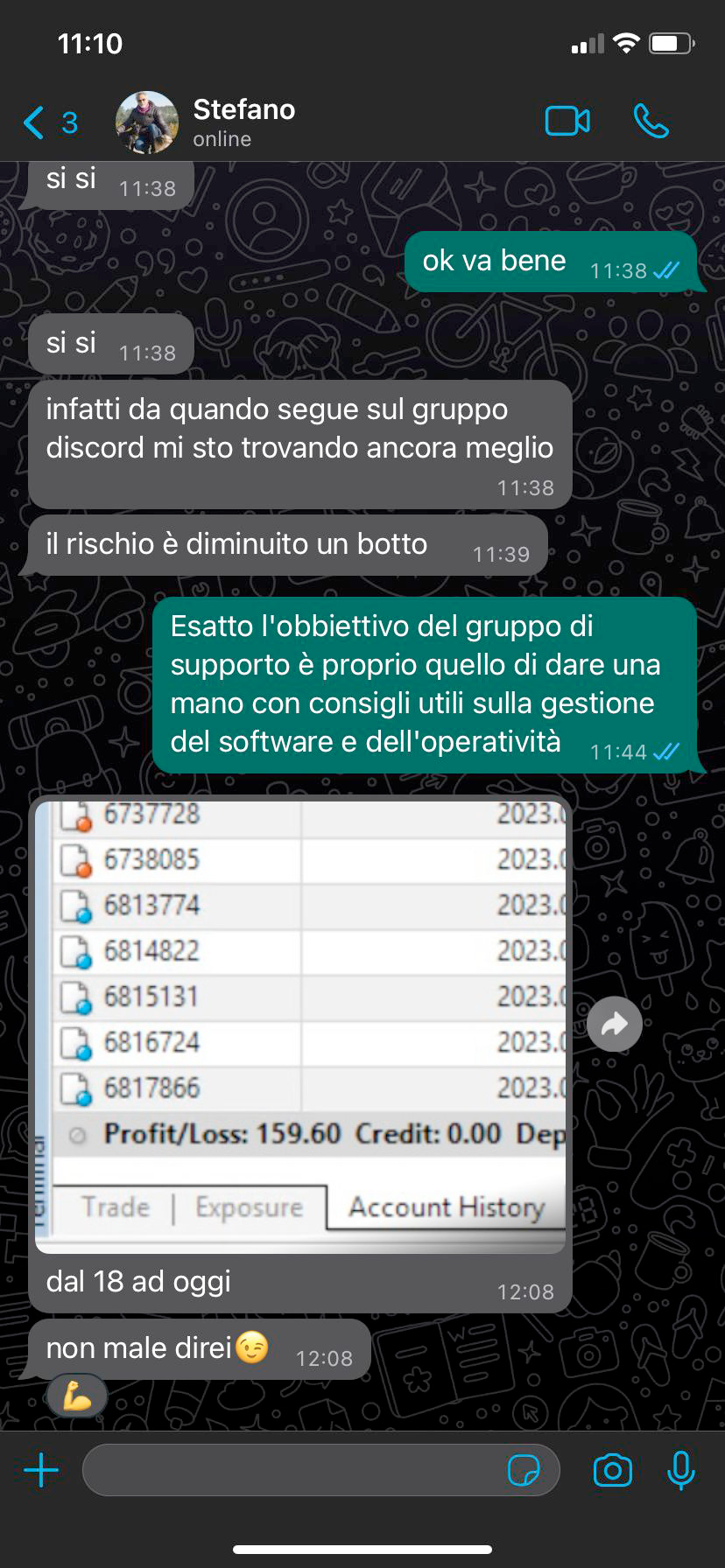 whatsapp stefano
